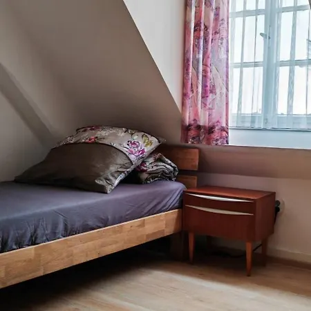 Goldner Stern Homestay Kaub